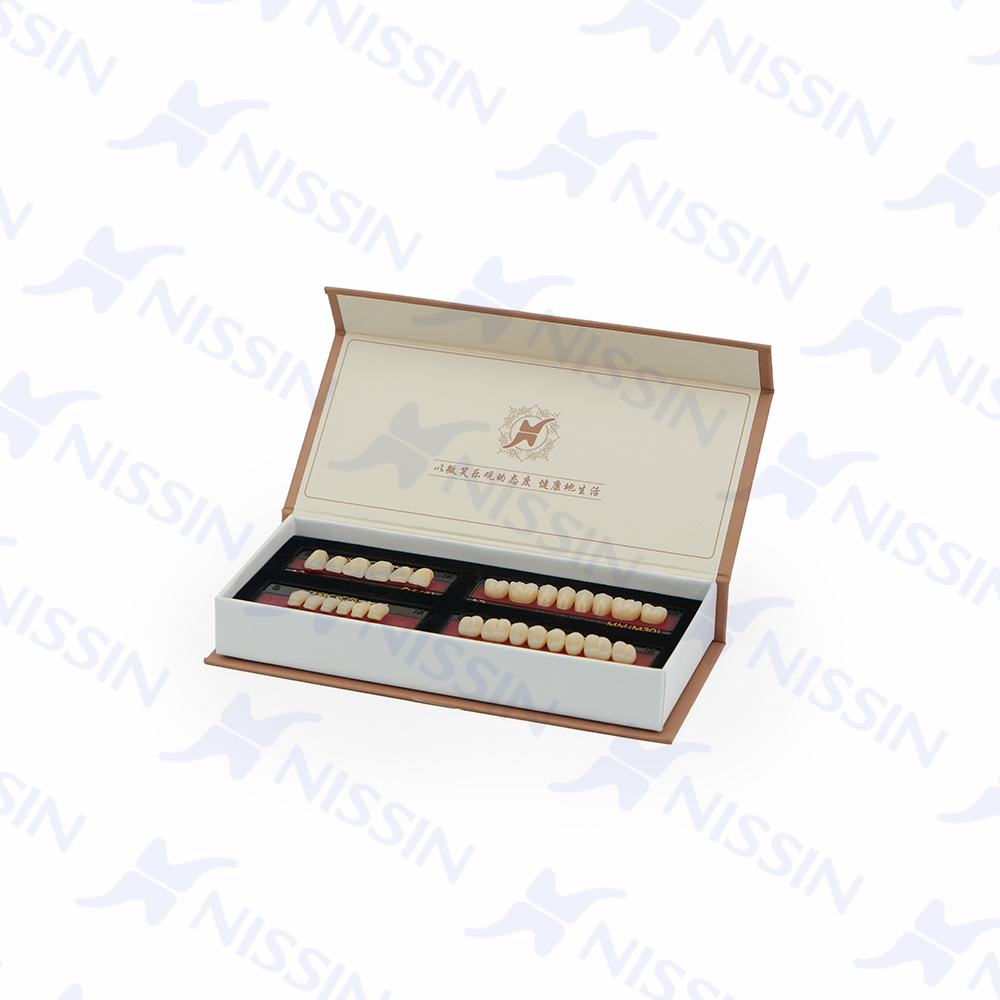 硬質(zhì)樹(shù)脂牙（全口）