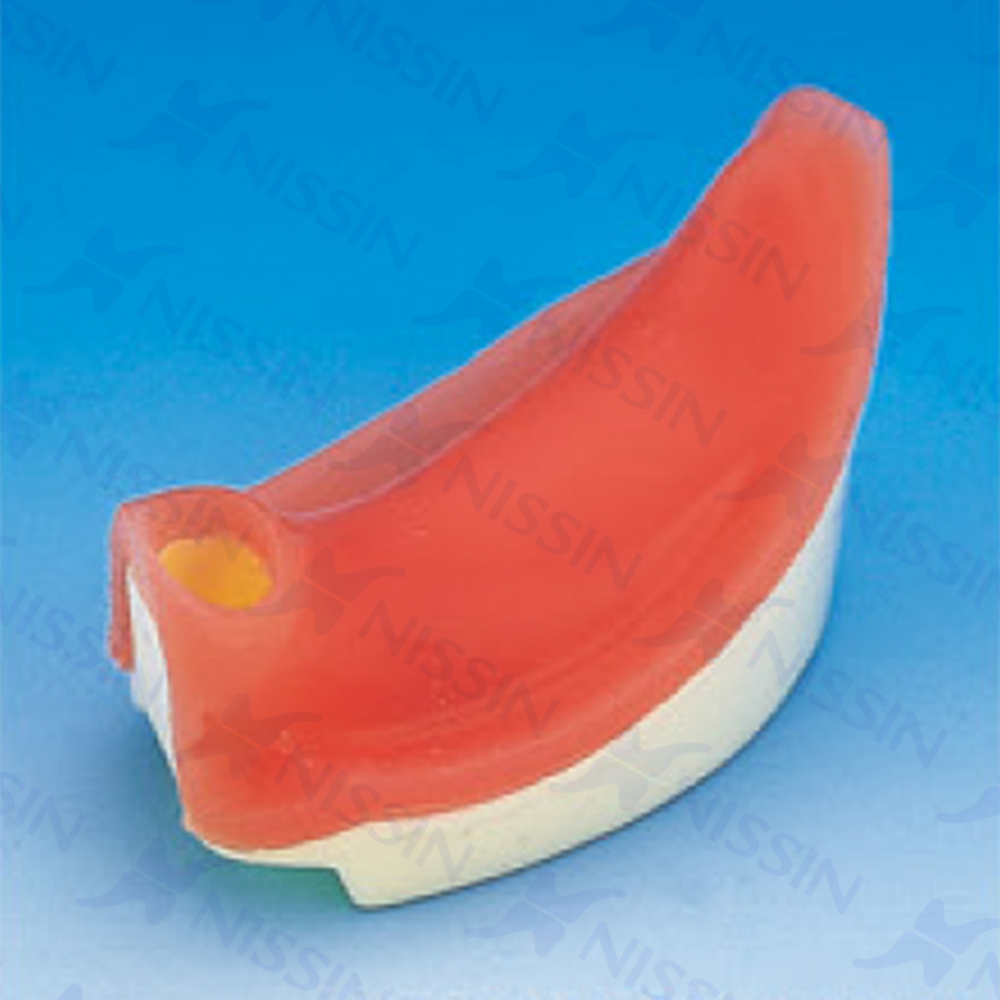 種植實習模型用模塊